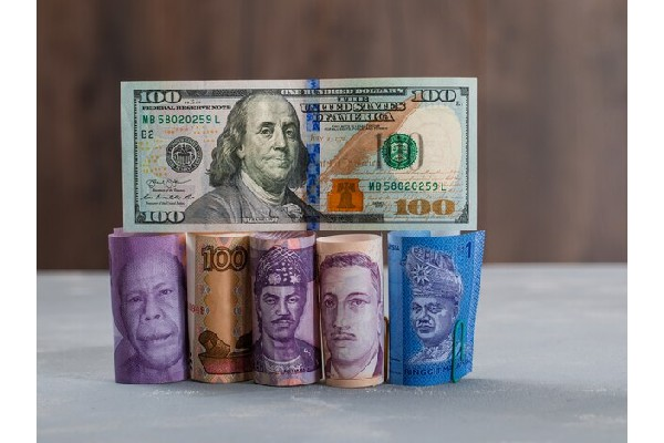 如何理解金融市场的波动性？这些波动如何影响投资者的策略？