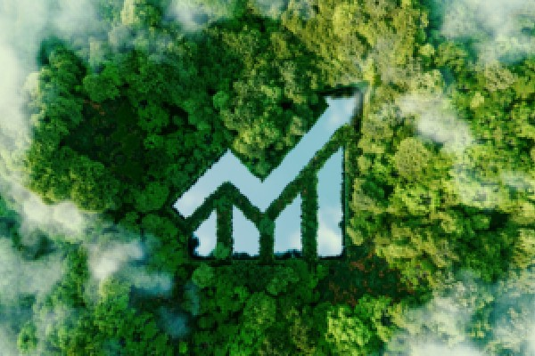 如何选择合适的居住区域？这种选择如何影响生活质量？
